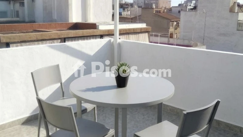 Piso – Alacant / Alicante, la Florida Alta, l'Alacantí