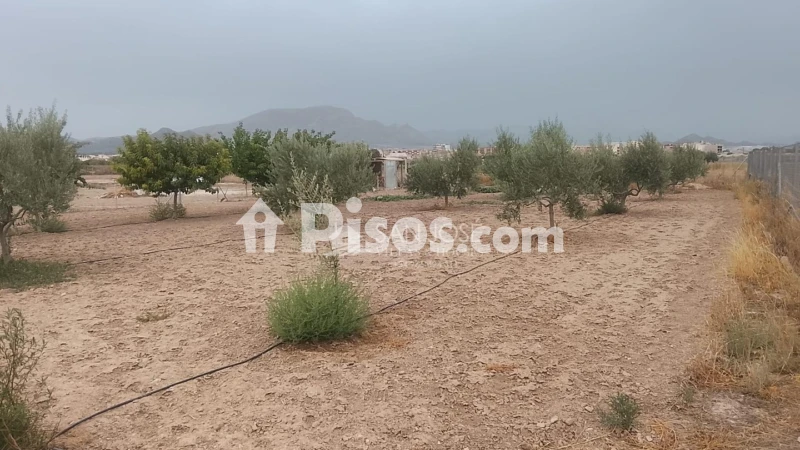 Terreno en venta en Comunidad Valenciana