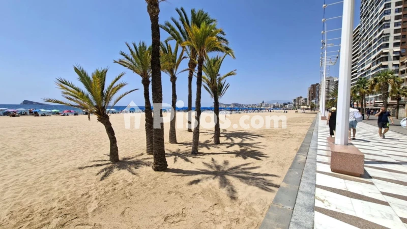 Piso – Benidorm