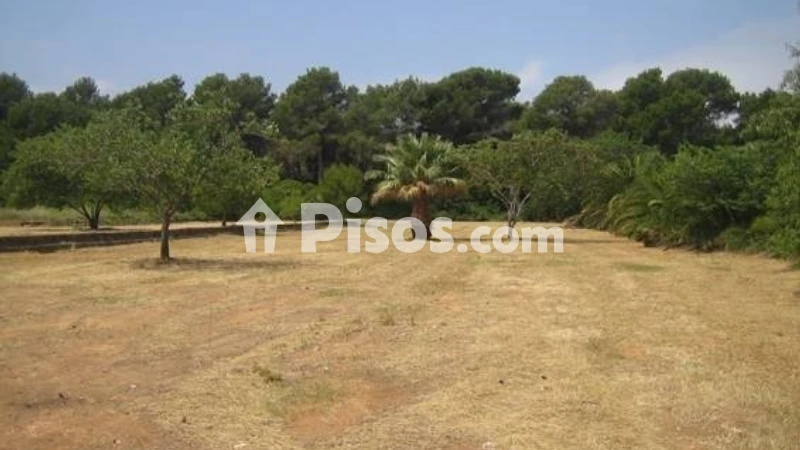 Terreno en venta en Torrecarrals