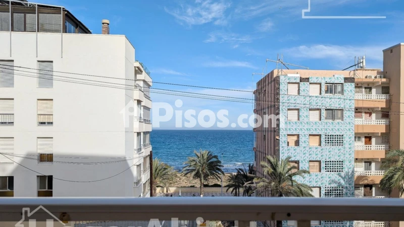Pis – Elx - Elche