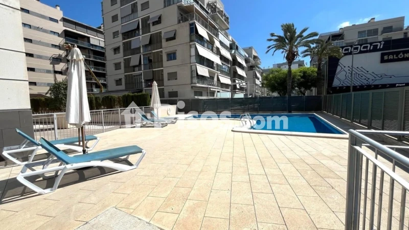 Pis – Elx - Elche