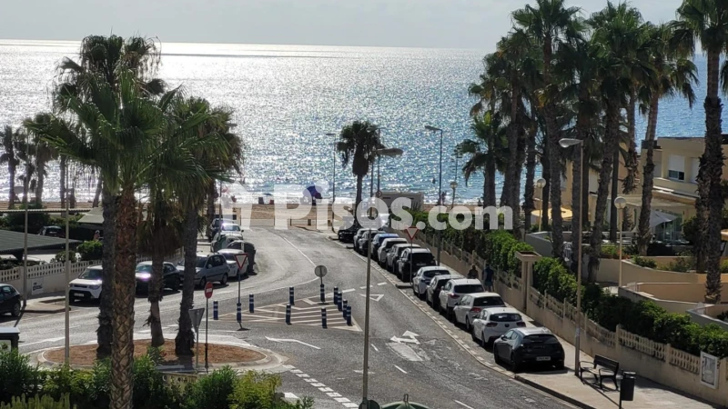 Pis – Alicante - Alacant