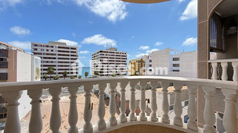 Pis – Torrevieja, San Roque