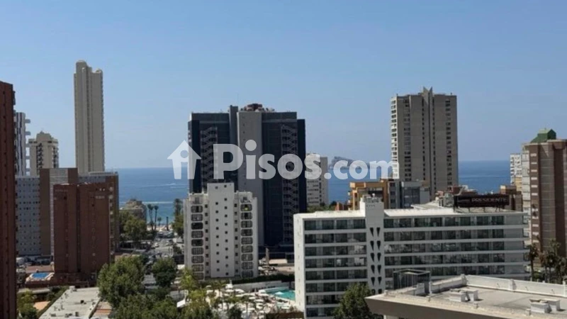 Pis – Benidorm