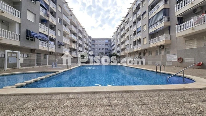 Pis – Torrevieja