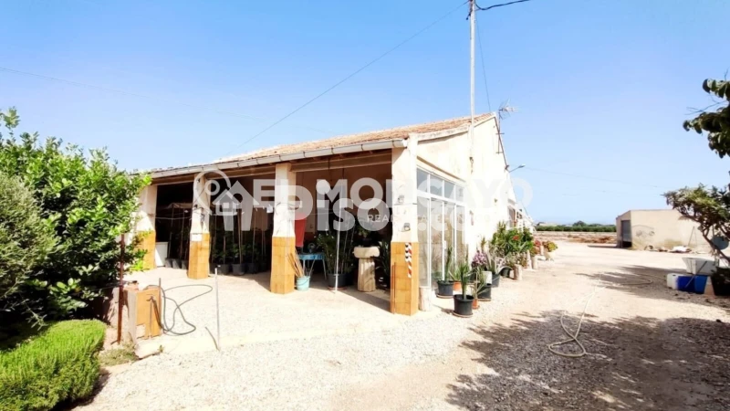 Casa – Elx - Elche