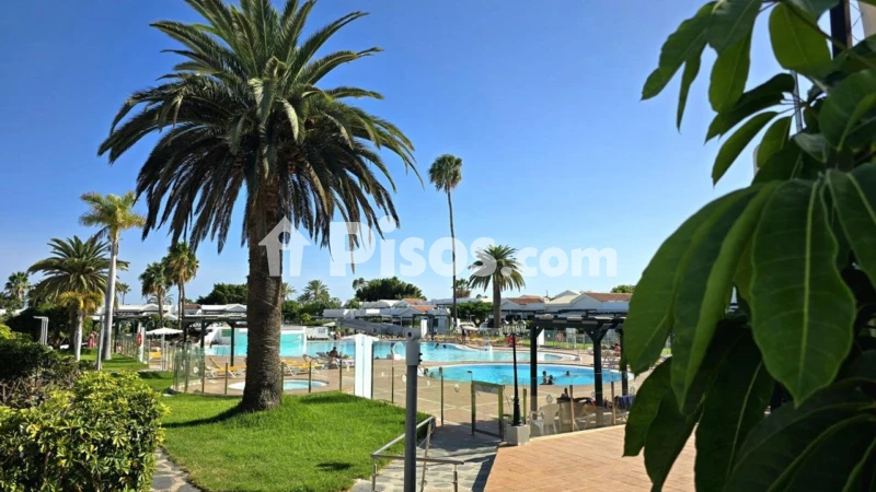 Fotografía del inmueble reportado: 1.390 €/mes — Las Palmas, Las Palmas
