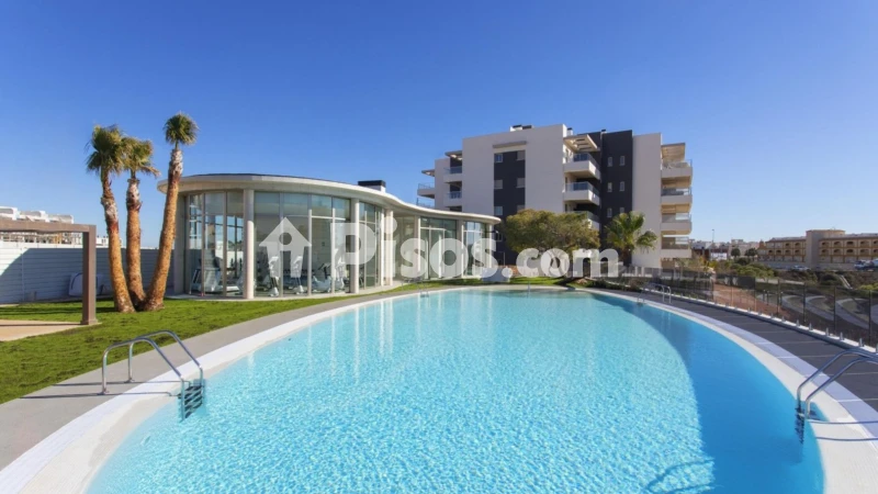 Piso – Orihuela