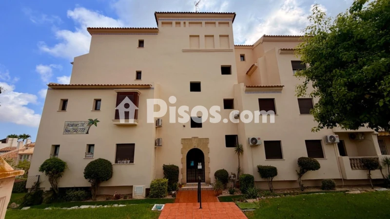 Pis – Orihuela