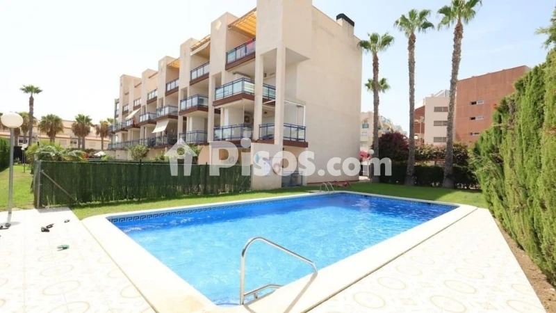 Pis – Orihuela