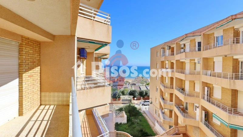 Pis – Guardamar del Segura, Urbanització Pinar de Guardamar