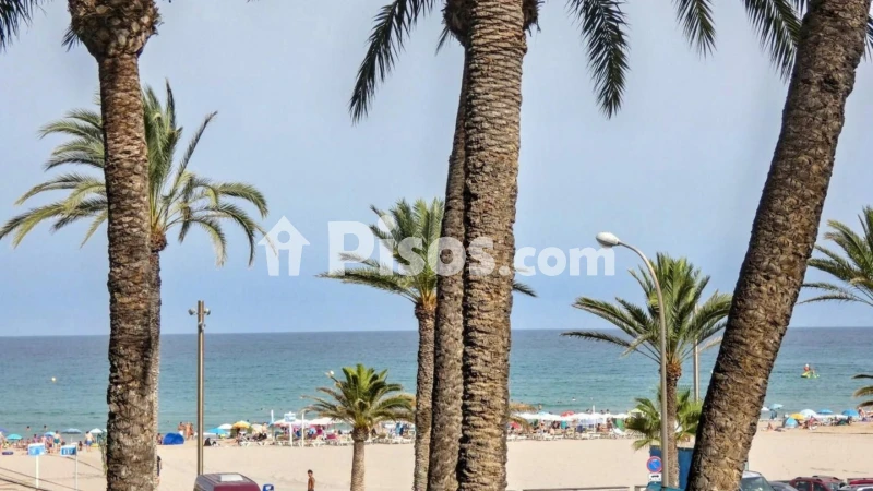 Pis – Alicante - Alacant