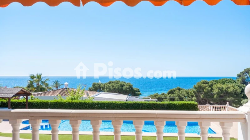 Pis – Moraira