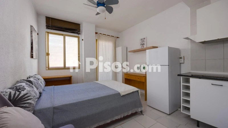 Pis – Torrevieja