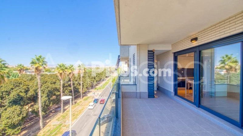 Pis – Alicante - Alacant