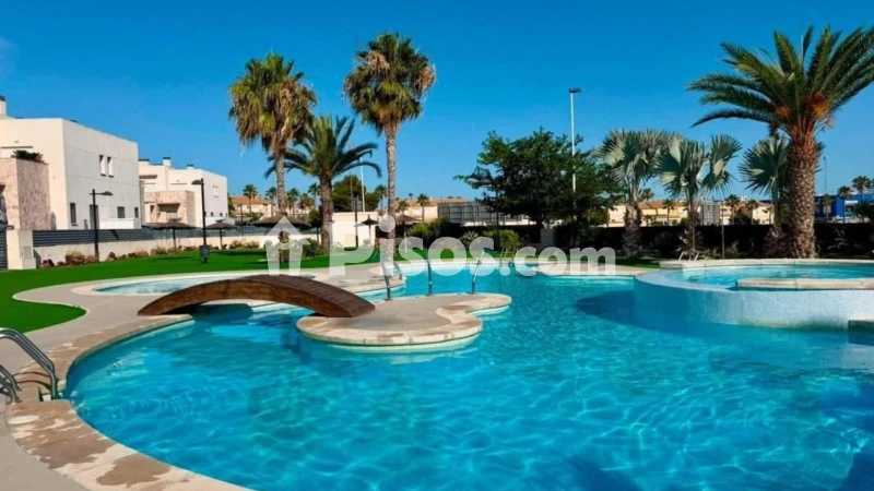 Pis – Torrevieja