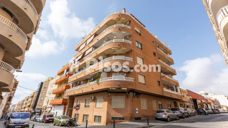 Pis – Torrevieja
