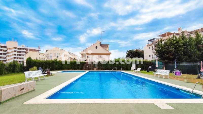 Piso – Orihuela