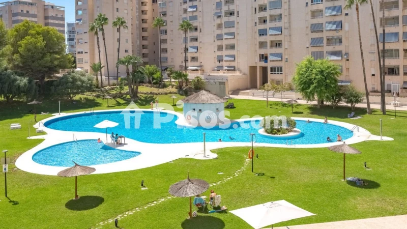 Piso – el Campello, l'Alacantí