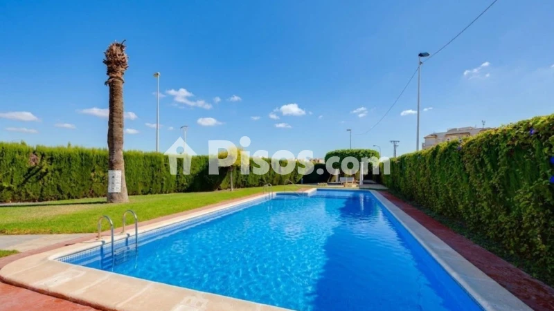 Piso – Orihuela