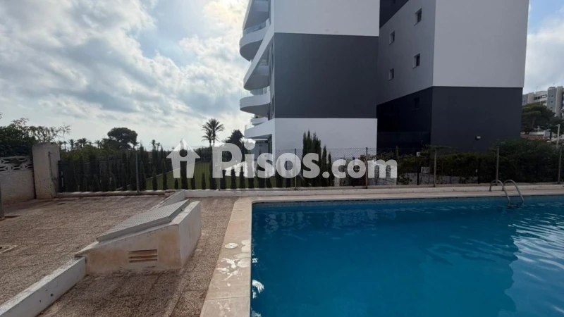 Pis – Torrevieja