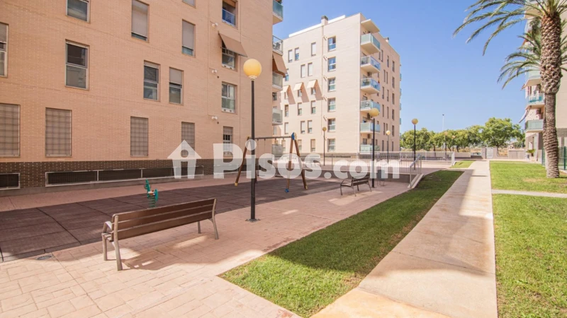 Pis – Elx - Elche