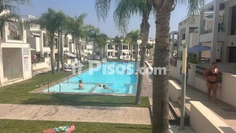 Pis – Torrevieja