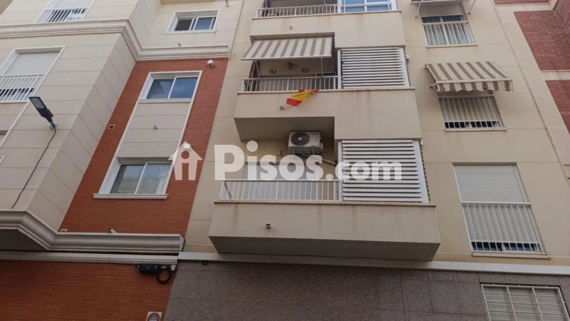 Pis – Elche/Elx, Sant Crispí, el Baix Vinalopó