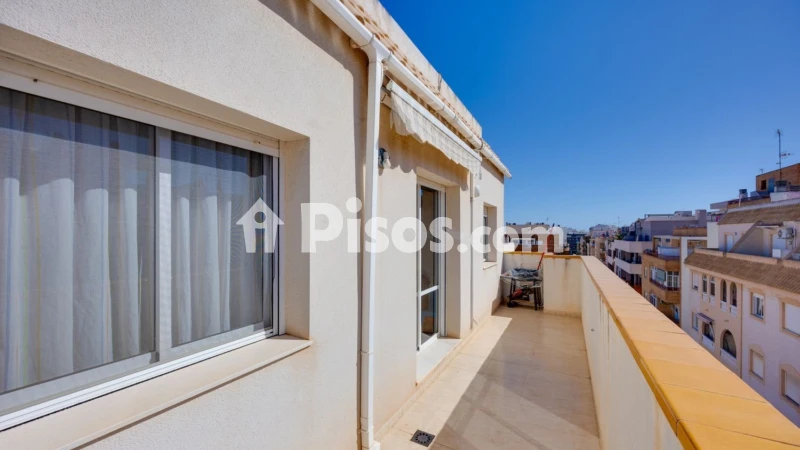 Pis – Torrevieja