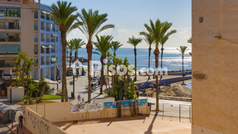 Pis – Torrevieja