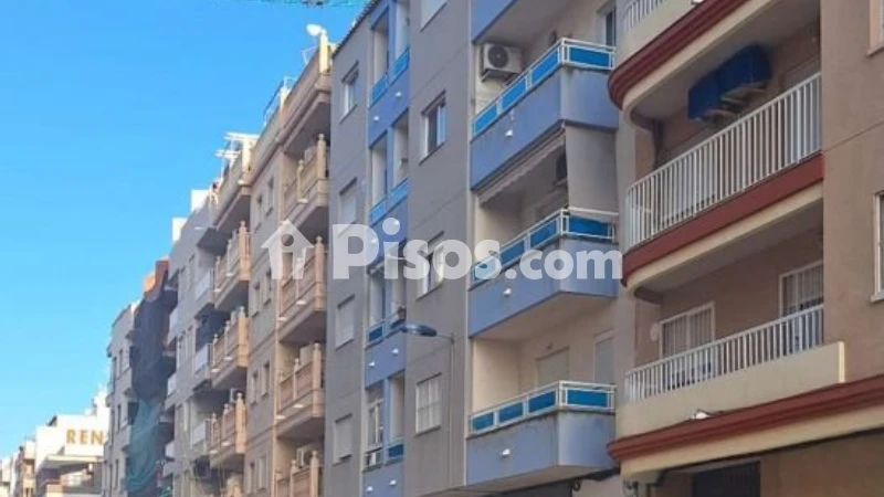 Pis – Torrevieja
