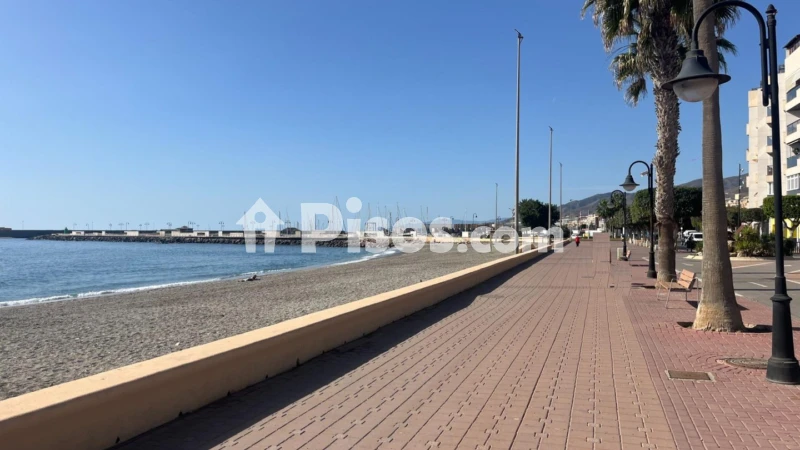 Fotografía del inmueble reportado: 550 €/mes — Almería, Almería