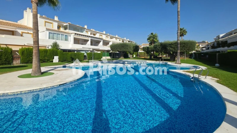 Pis – Alicante - Alacant