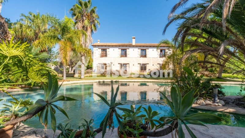 Casa – Elx / Elche, el Baix Vinalopó