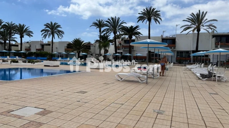 Fotografía del inmueble reportado: 1.250 €/mes — Tenerife, Tenerife
