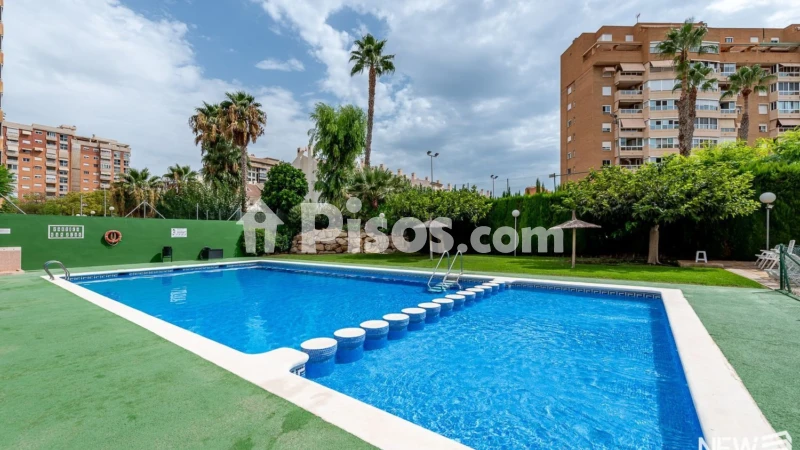 Pis – Alicante - Alacant