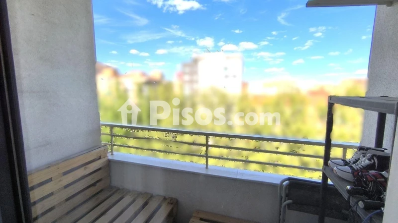 Pis – Albacete Capital