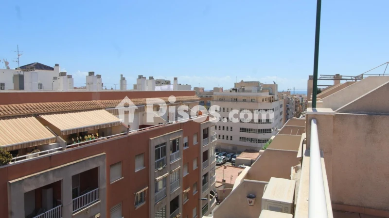 Pis – Torrevieja