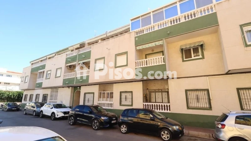 Pis – Torrevieja