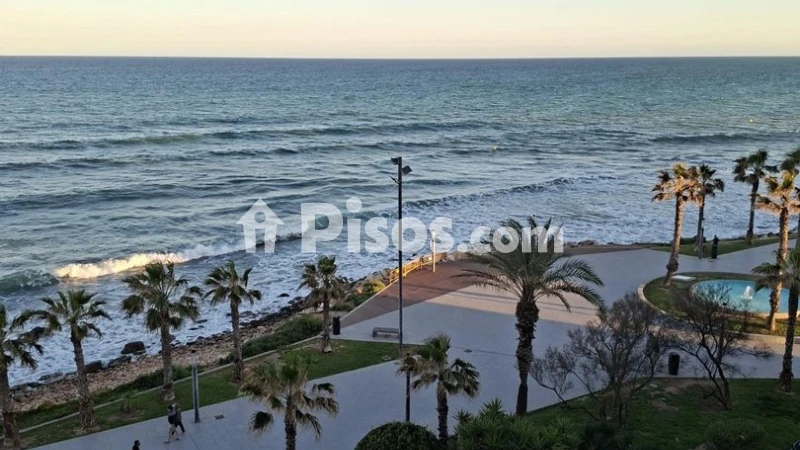 Pis – Torrevieja