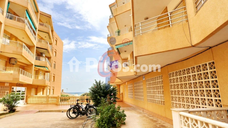 Pis – Guardamar del Segura, Urbanització Pinar de Guardamar