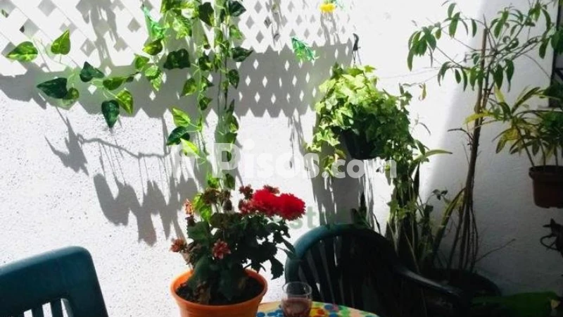 Fotografía del inmueble reportado: 900 €/mes — Málaga, Málaga