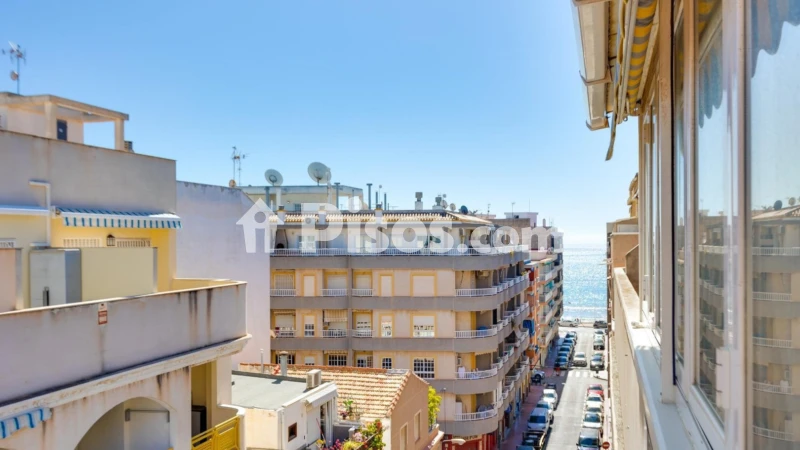 Pis – Torrevieja, El Palmeral