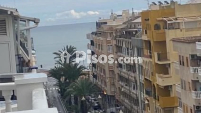 Pis – Torrevieja