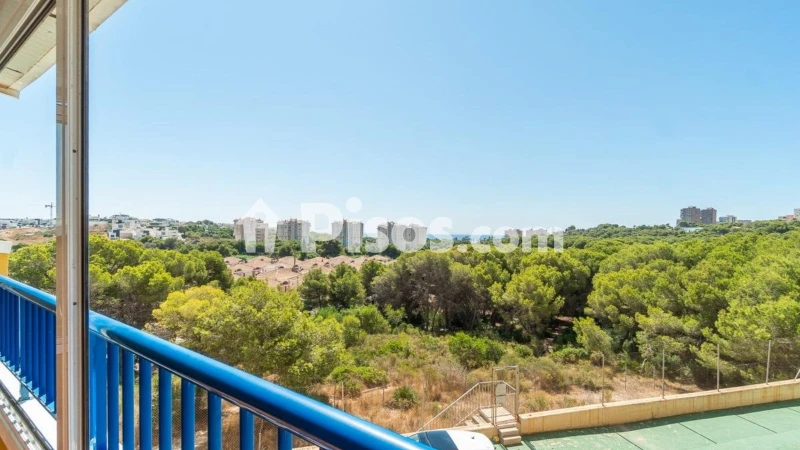 Pis – Orihuela, Urbanización Residencial Montemar, Dehesa de Campoamor
