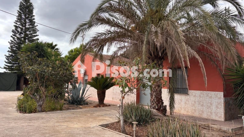 Casa – Elx - Elche