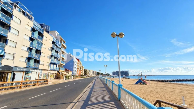 Pis – Torrevieja