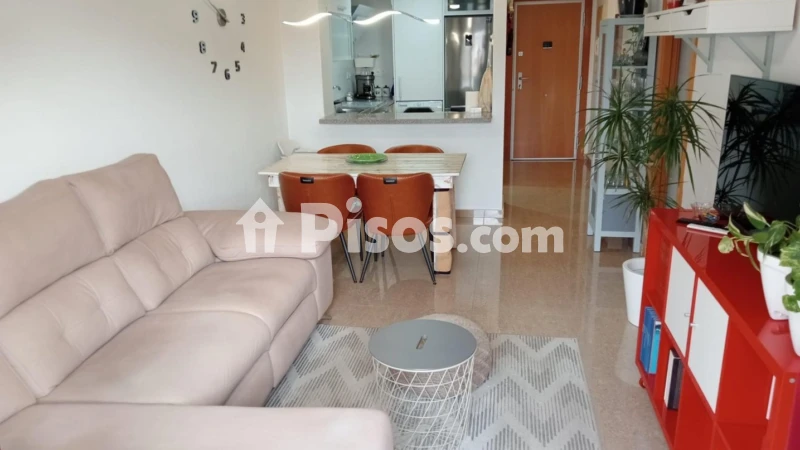 Pis – Alacant / Alicante, la Florida Baixa, l'Alacantí