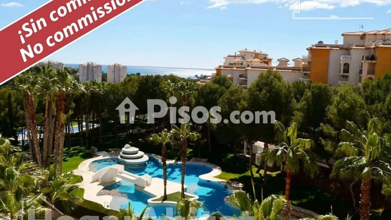 Piso – Orihuela